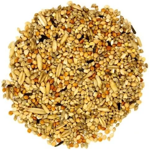 Budgie Seed