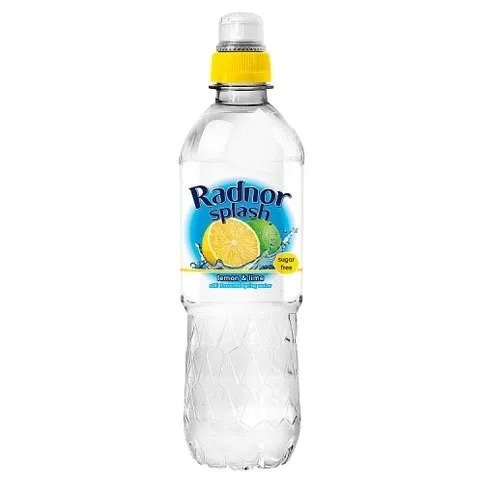 Radnor Splash Lemon & Lime Still Flavoured Spring Water 500ml